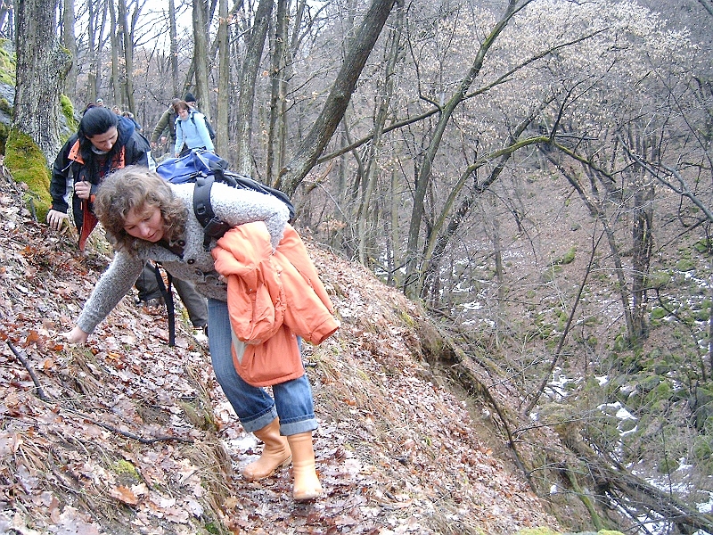 20100220 061.jpg